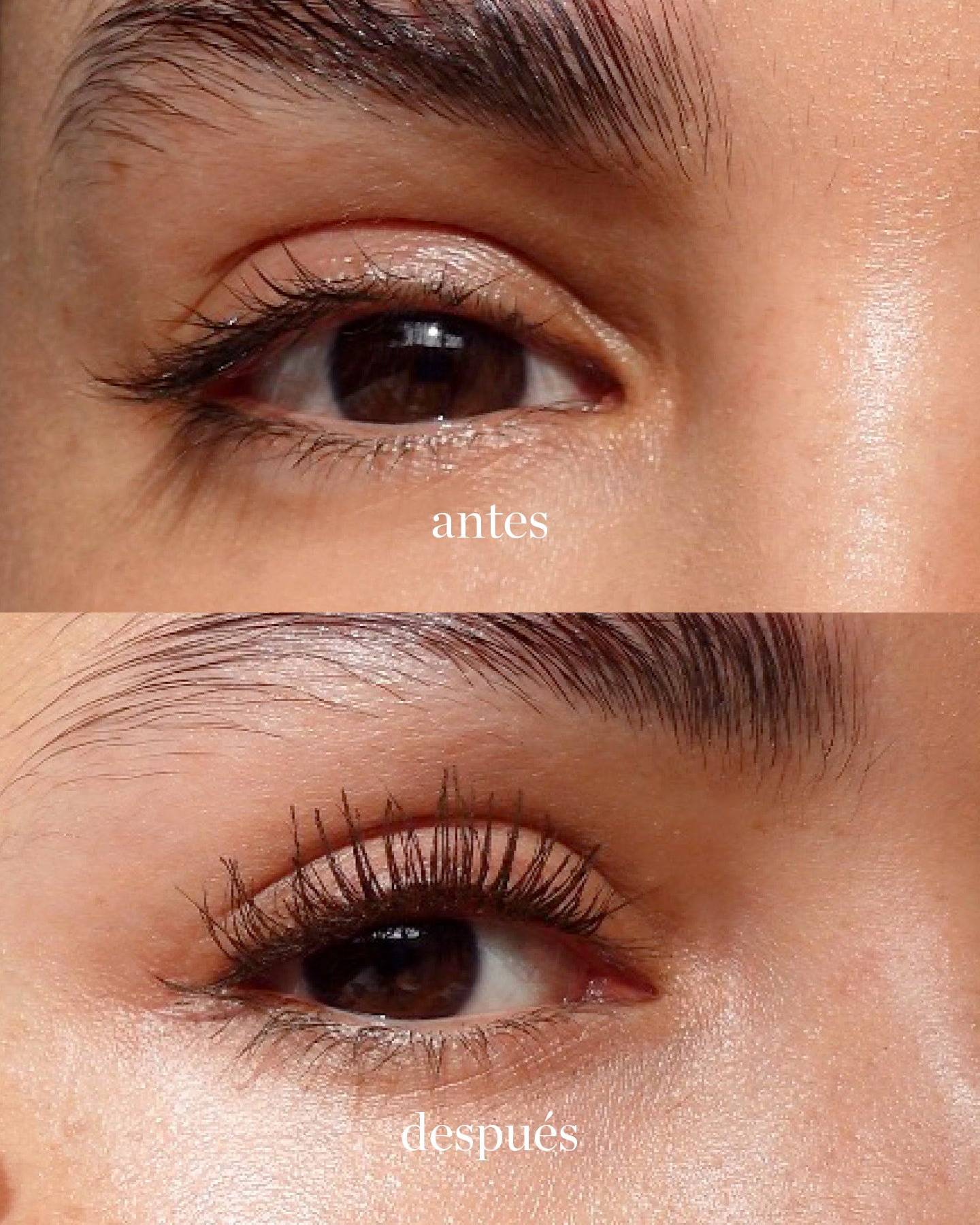 comparacion de ojos de uso antes y despues de mascara de aguacate contra agua ere perez tono negro