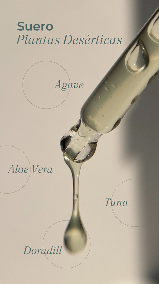 infografía del suero de plantas desérticas con ingredientes estrella que lo componen disponible en Blumma