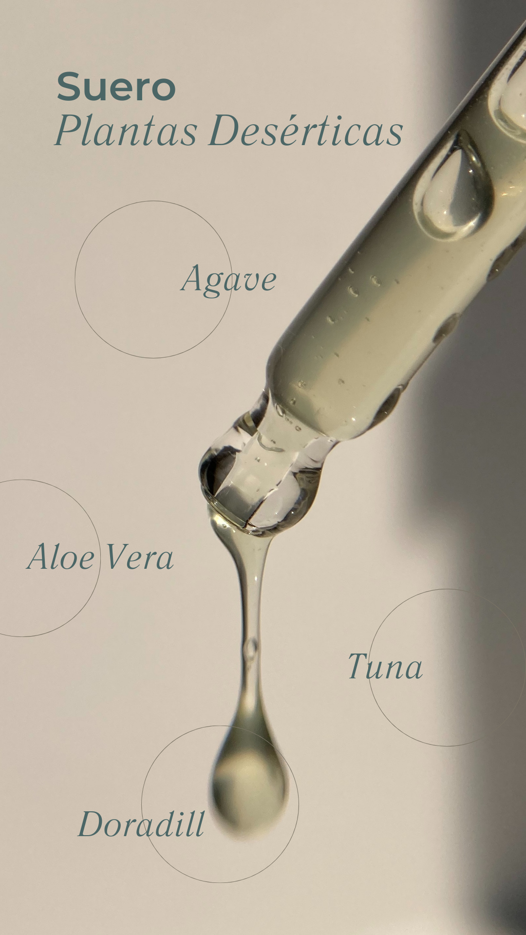 infografía del suero de plantas desérticas con ingredientes estrella que lo componen disponible en Blumma