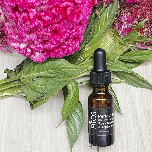 vista aerea del perfect serum de fitos junto con plantas y flores 